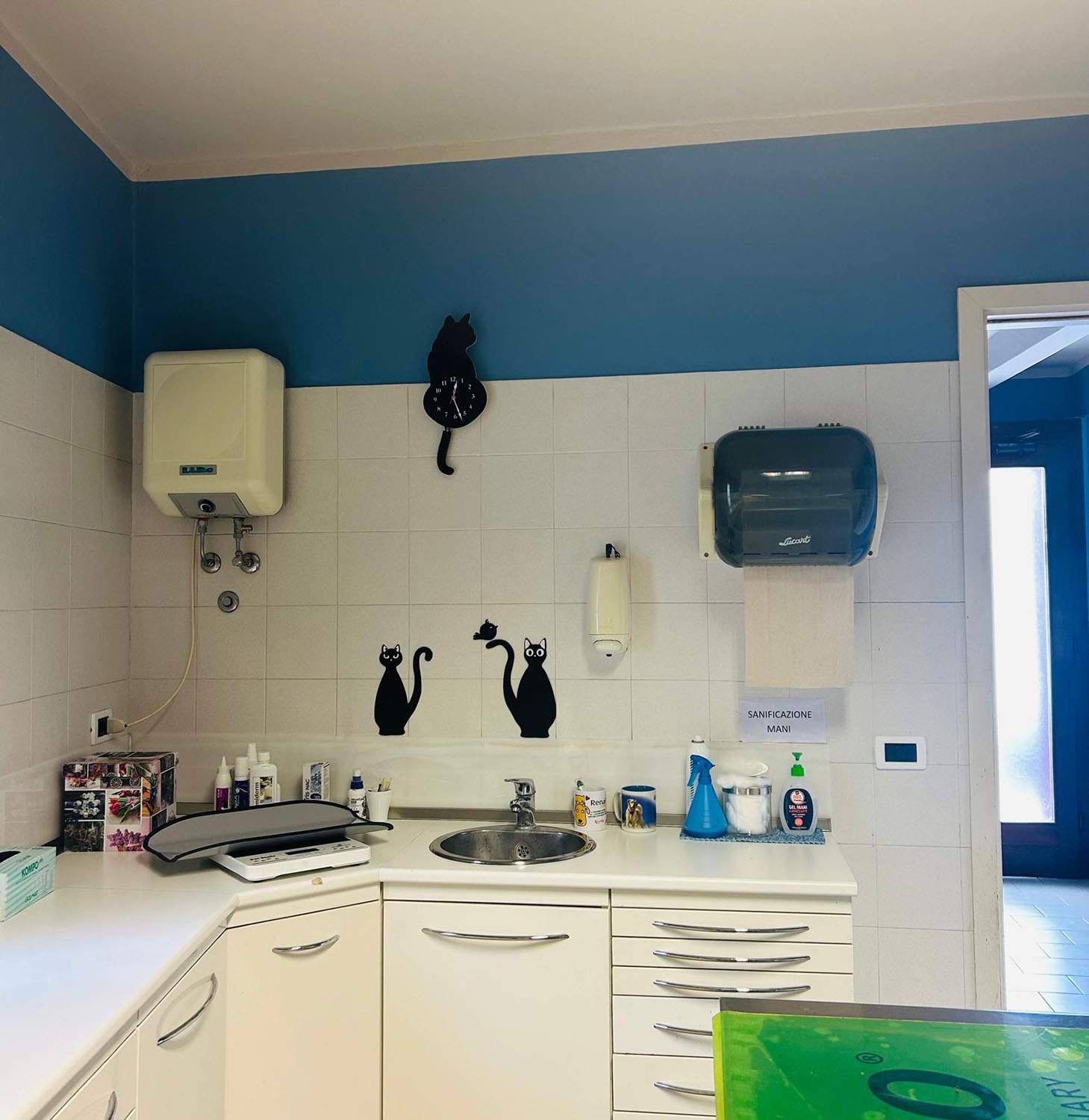 Specializzazioni 1 Prestazioni veterinarie per animali a Bassano