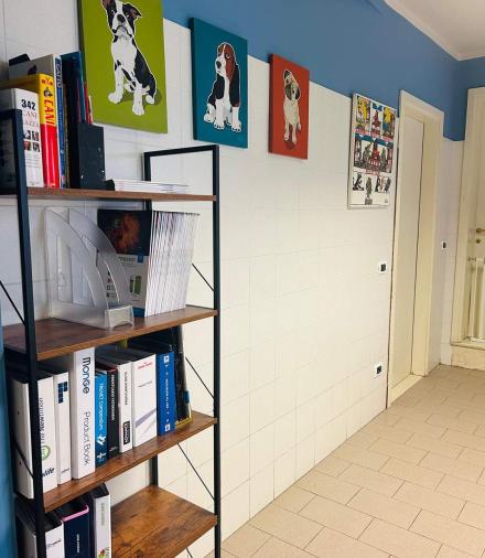 Ambulatorio Veterinario Blaas – Bano Ambulatorio Veterinario Blaas - Bano Bassano del Grappa Vicenza