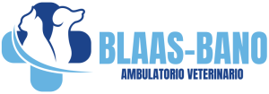 Logo Veterinario Bassano Blaas Bano